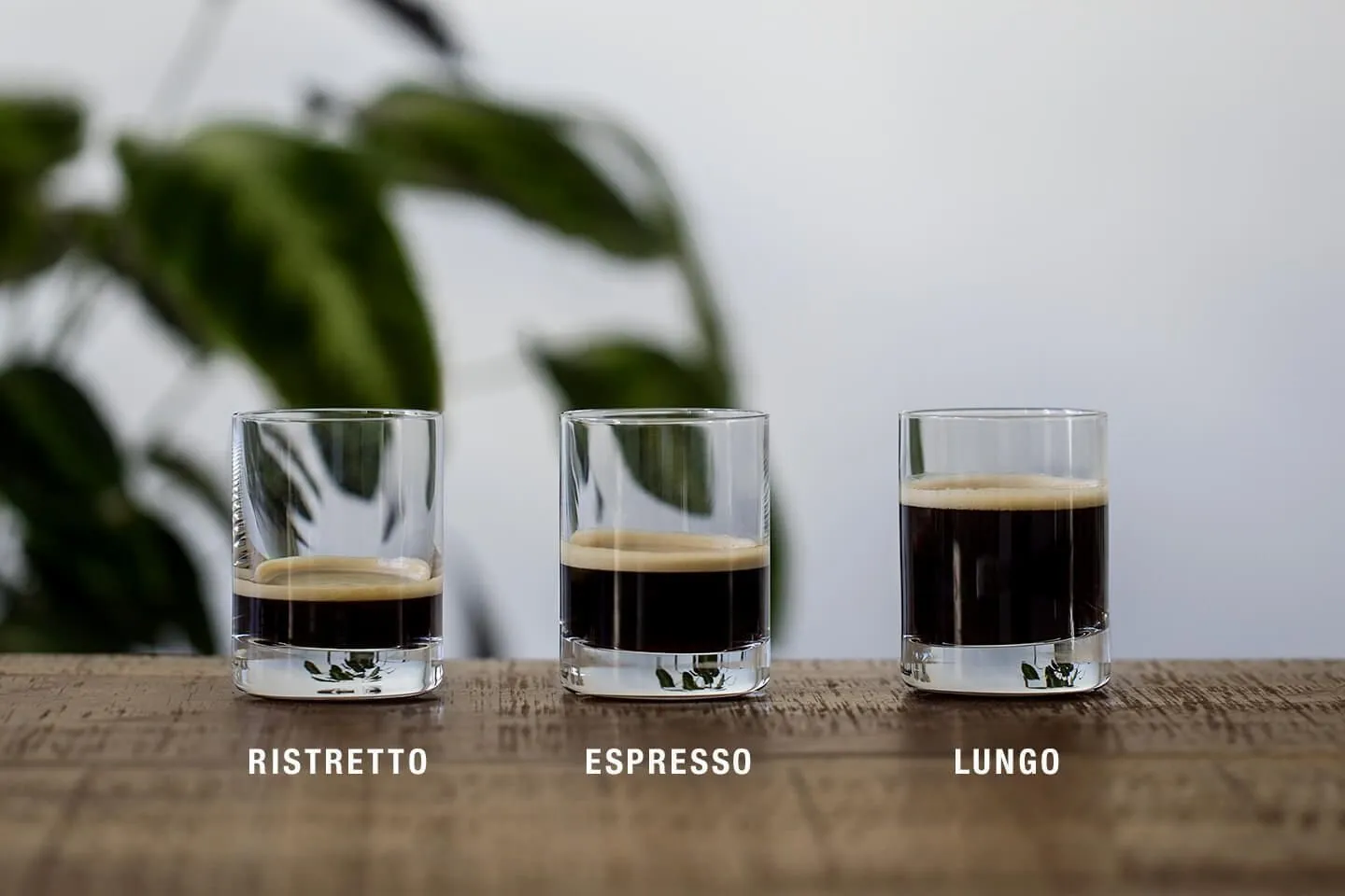 Single it Out OR Double Date for Espresso Extraction? - BrewRatio